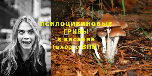 синтетический гашиш Арсеньев