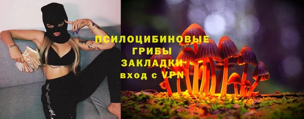 синтетический гашиш Арсеньев