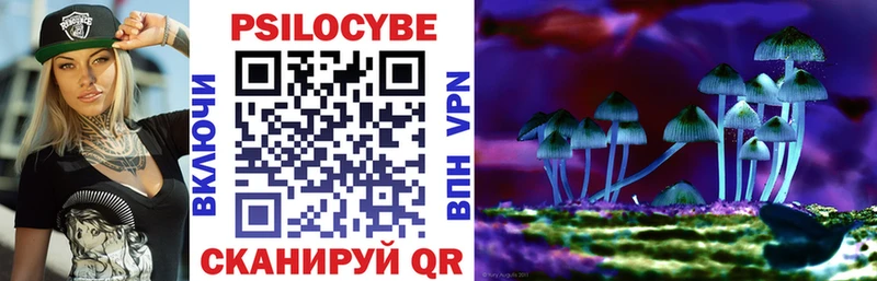 Псилоцибиновые грибы Psilocybine cubensis  Инсар 